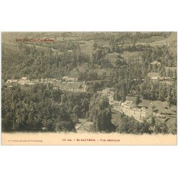 carte postale ancienne 65 SAINT-SAUVEUR. Vue générale