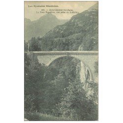 carte postale ancienne 65 SAINT-SAUVEUR-LES-BAINS. Le Pont Napoléon 530