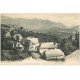 carte postale ancienne 65 SAINT-SAVIN. Vallée d'Argelès