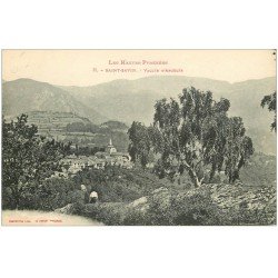carte postale ancienne 65 SAINT-SAVIN. Village Vallée d'Argelès animation