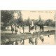 65 TARBES. Cygne au Jardin Massey