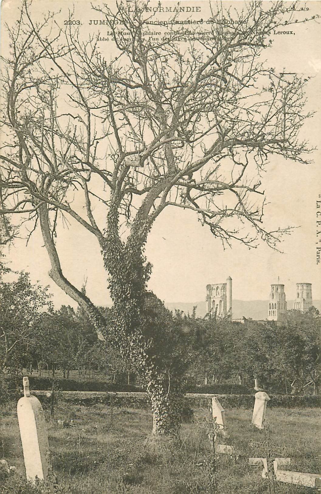 carte postale ancienne 76 JUMIEGES. Abbaye Cimetière vers 1900