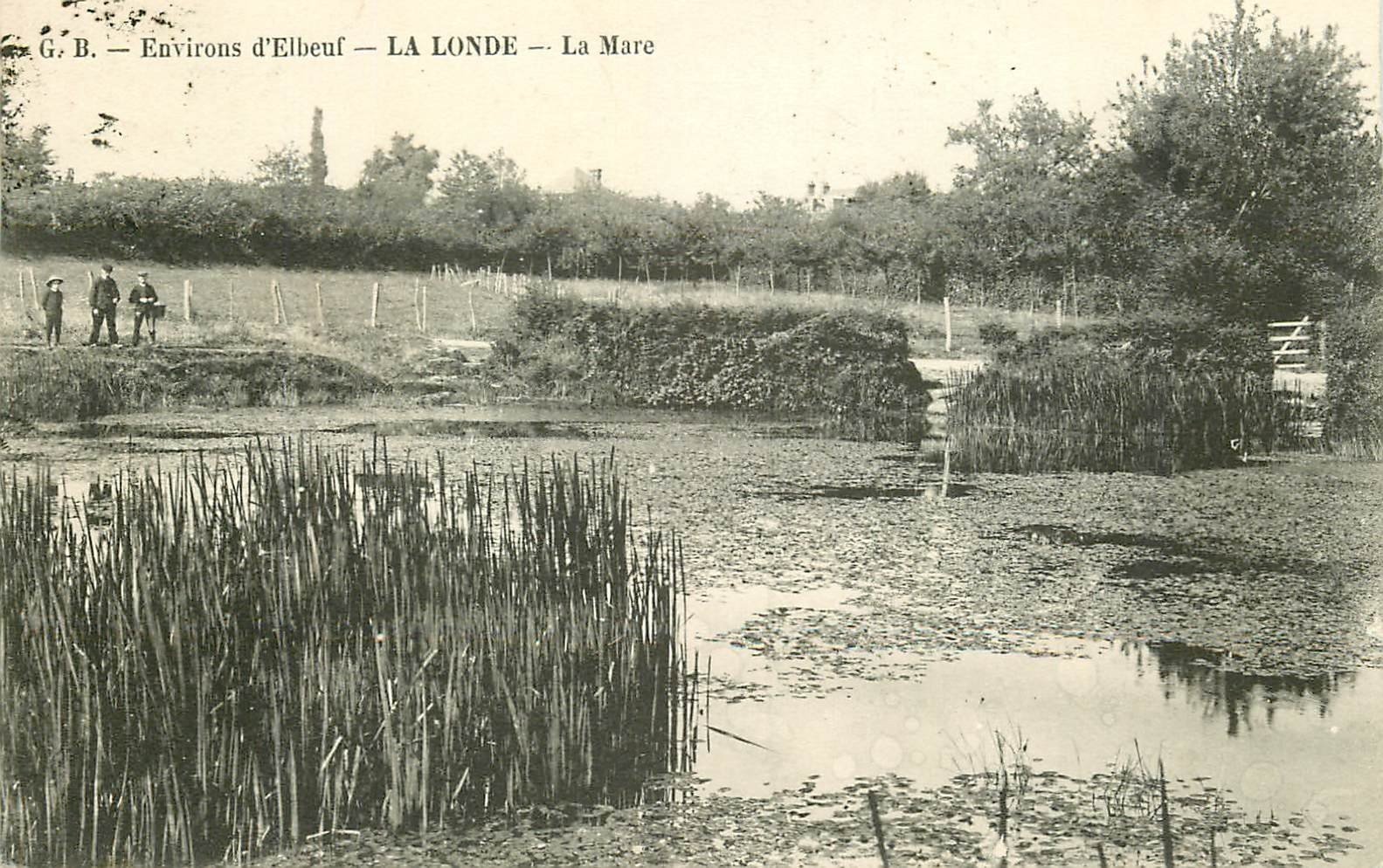 carte postale ancienne 76 LA LONDE. La Mare 1912 animation