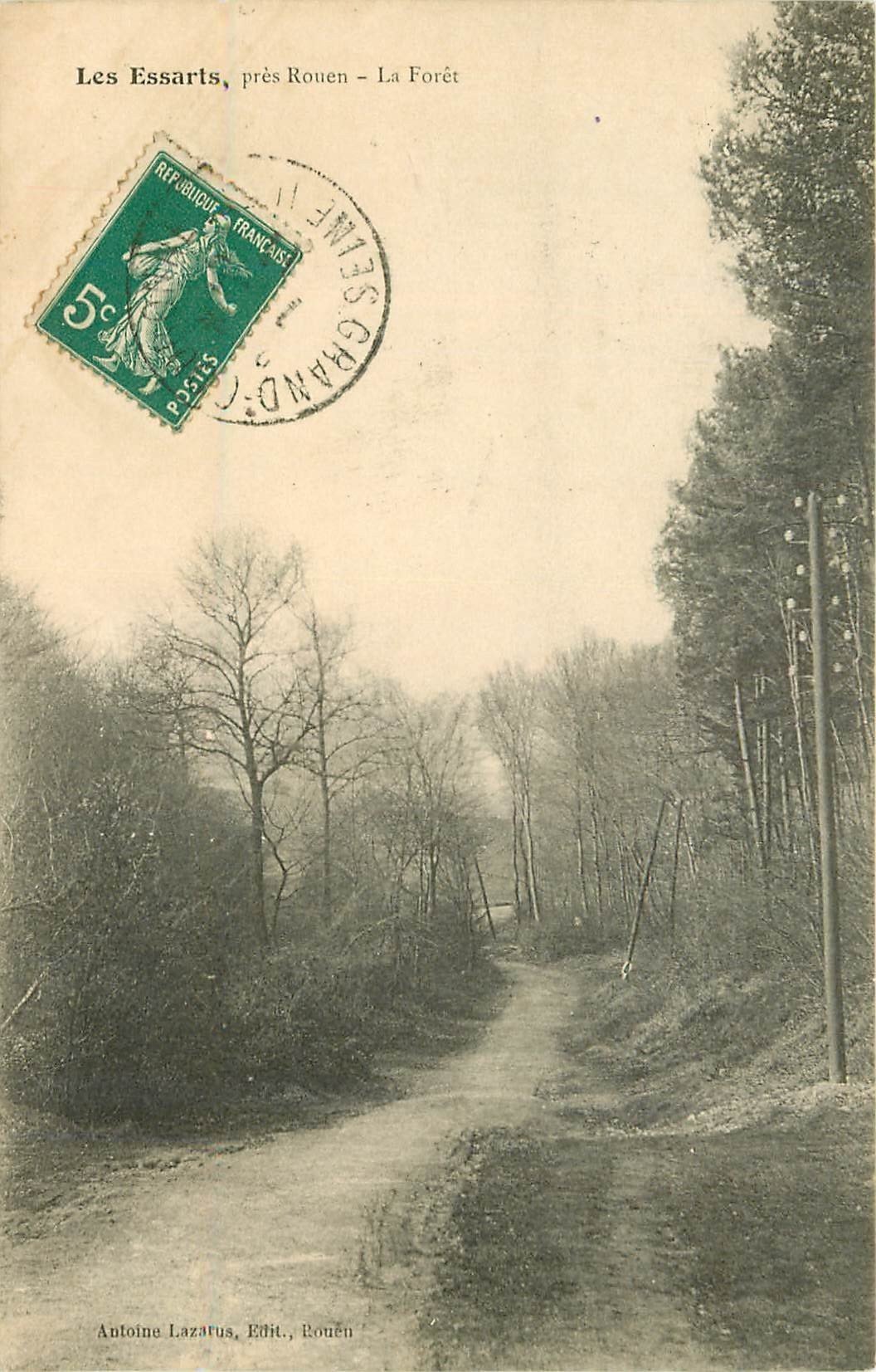 carte postale ancienne 76 LES ESSARTS. La Forêt 1911