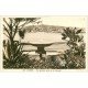 carte postale ancienne 06 CANNES. La Petite Fontaine 259