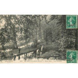 carte postale ancienne 76 LE BEC-DE-MORTAGNE. Sous Bois et Sources 1909 personnage
