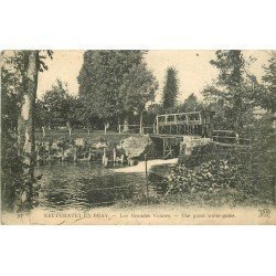 carte postale ancienne 76 NEUFCHATEL-EN-BRAY. Les Grandes Vannes 1921
