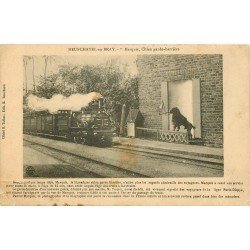 76 NEUFCHATEL-EN-BRAY. Marquis Chien garde-barrière et Train