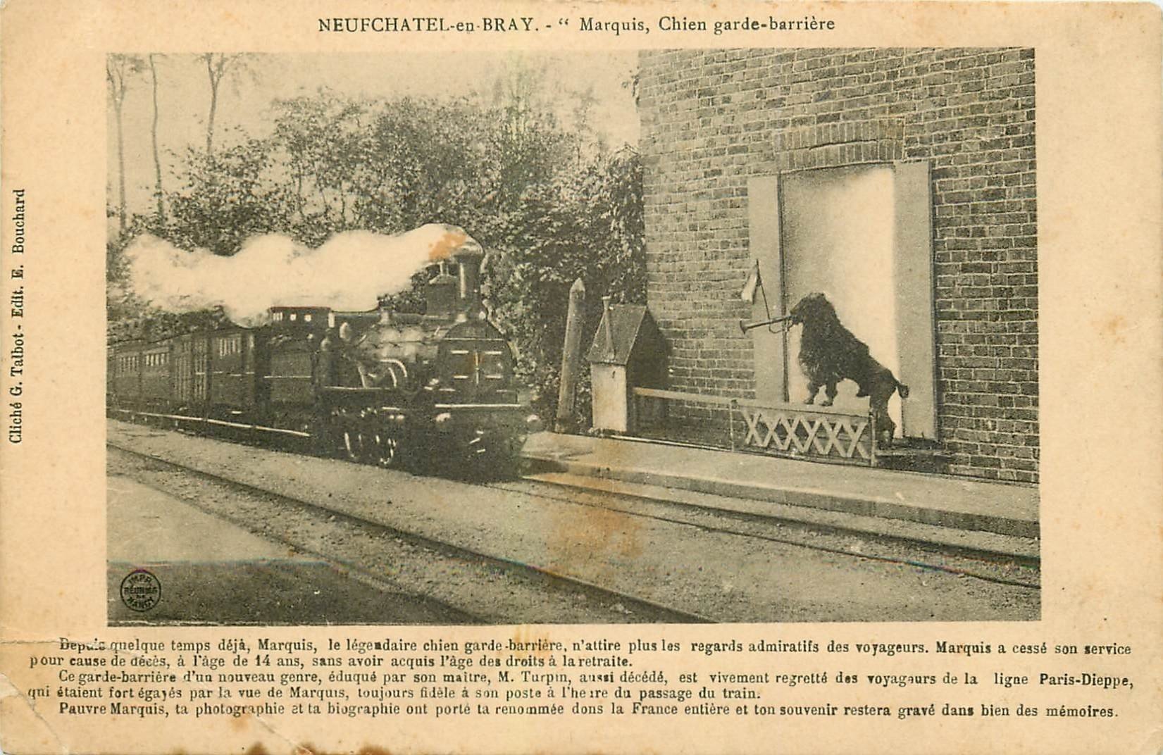 76 NEUFCHATEL-EN-BRAY. Marquis Chien garde-barrière et Train