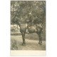 01 SATHONAY. Un Militaire Cavalier à cheval 1909. Carte Photo de Morillon
