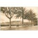 carte postale ancienne 06 CANNES. Promenade de la Croisette 1085 LL.