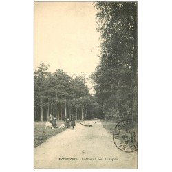 carte postale ancienne 76 BONSECOURS. Entrée du Bois de Sapins. Timbre Belge 1913