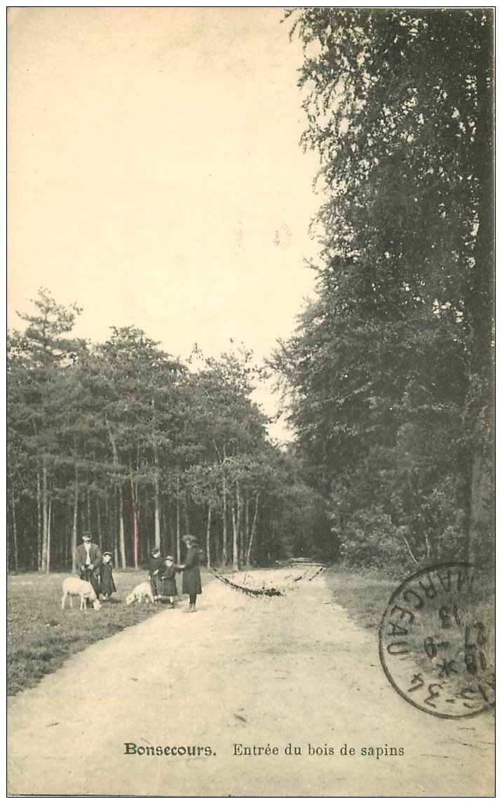 76 BONSECOURS. Entrée du Bois de Sapins. Timbre Belge 1913