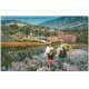 carte postale ancienne 06 Côte d'Azur. Cueillette des Fleurs