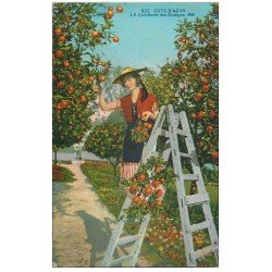 carte postale ancienne 06 Côte d'Azur. La Cueillette des Oranges 1928