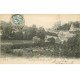 carte postale ancienne 76 PUYS. Jardins 1905