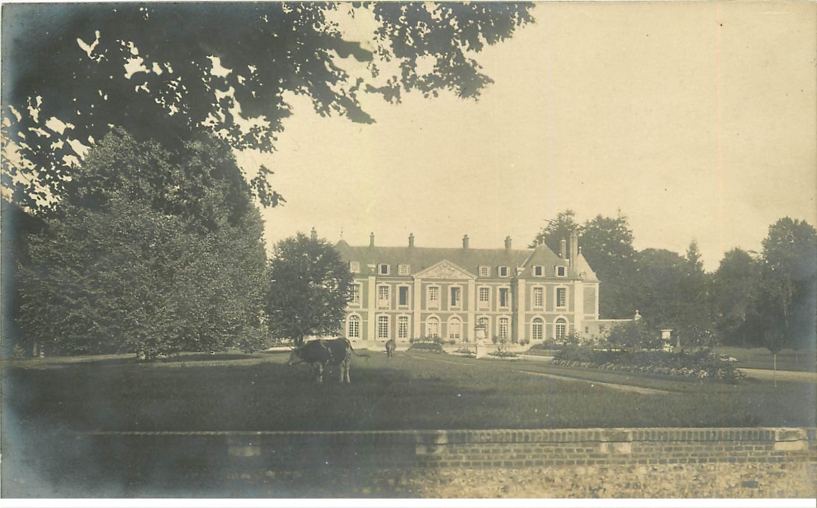 carte postale ancienne 76 ROCQUEFORT. Vache dans le Parc du Château. Carte Photo