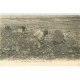 carte postale ancienne 76 LE TREPORT. Pêcheurs de Moules