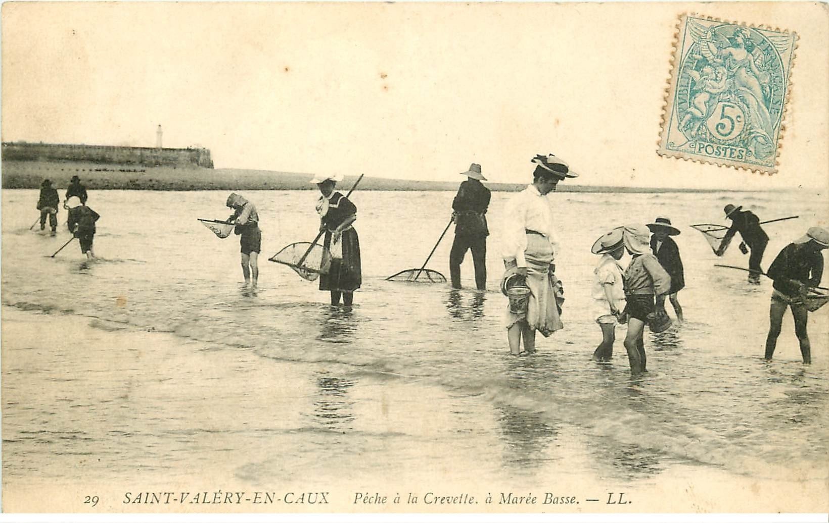 carte postale ancienne 76 SAINT-VALERY-EN-CAUX. Pêche à la Crevette à marée basse 1907