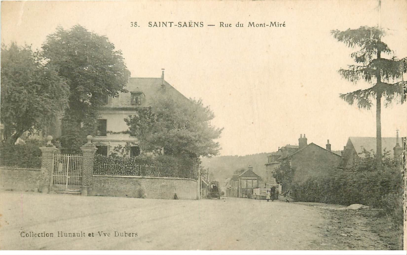 carte postale ancienne 76 SAINT-SAËNS. Rue du Mont-Miré