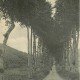carte postale ancienne 76 SAINT-PIERRE-EN-PORT. Route d'Eletot 1912