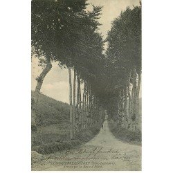 carte postale ancienne 76 SAINT-PIERRE-EN-PORT. Route d'Eletot 1912