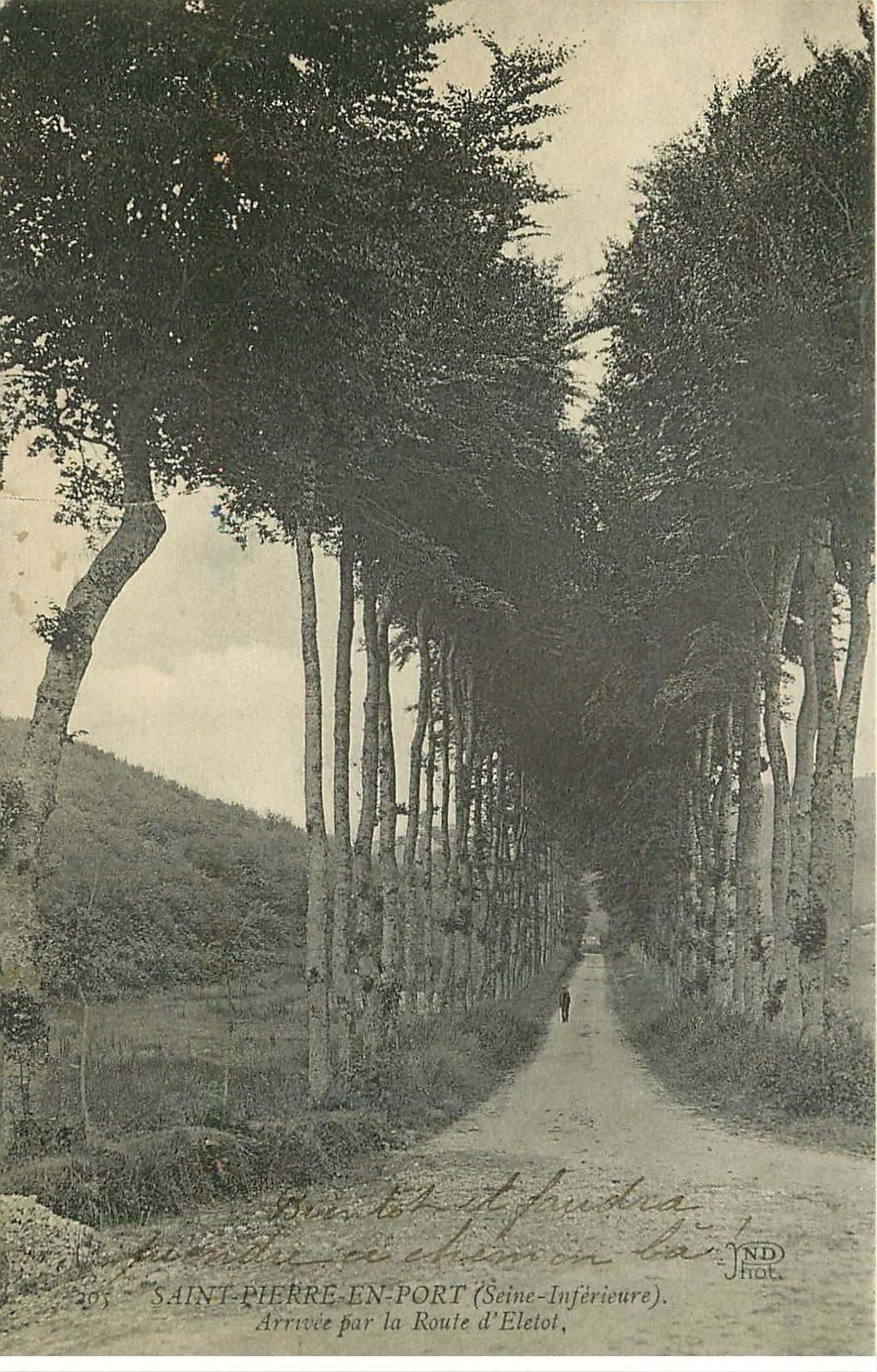 carte postale ancienne 76 SAINT-PIERRE-EN-PORT. Route d'Eletot 1912