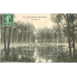 carte postale ancienne 76 SAINTE-PIERRE-LES-ELBEUF. La Mare Aze 1913