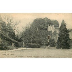 carte postale ancienne 76 TANCARVILLE. Tour du Lion ruines Château