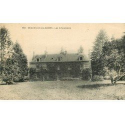 carte postale ancienne 76 VEAUVILLE-LES-BAONS. Les Ampelopsis