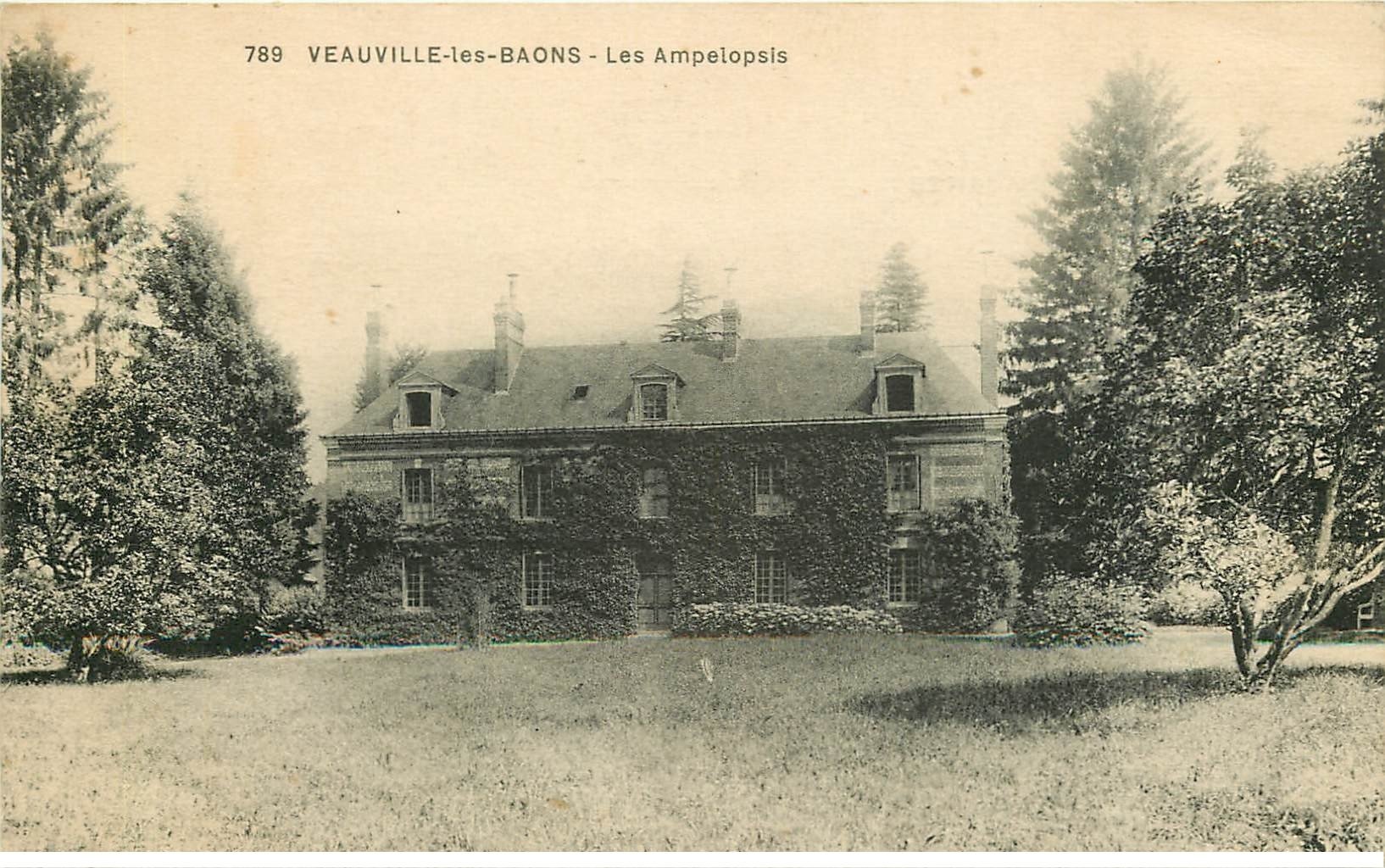 carte postale ancienne 76 VEAUVILLE-LES-BAONS. Les Ampelopsis