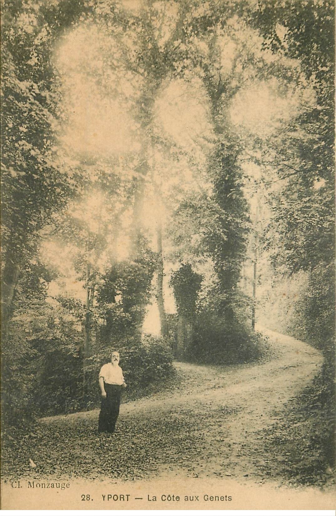 carte postale ancienne 76 YPORT. La Côte aux Genets