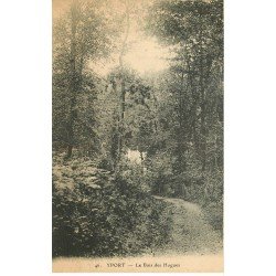 carte postale ancienne 76 YPORT. Le Bois des Hogues