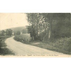 carte postale ancienne 76 YPORT. Route Bois des Hogues 1905 animation