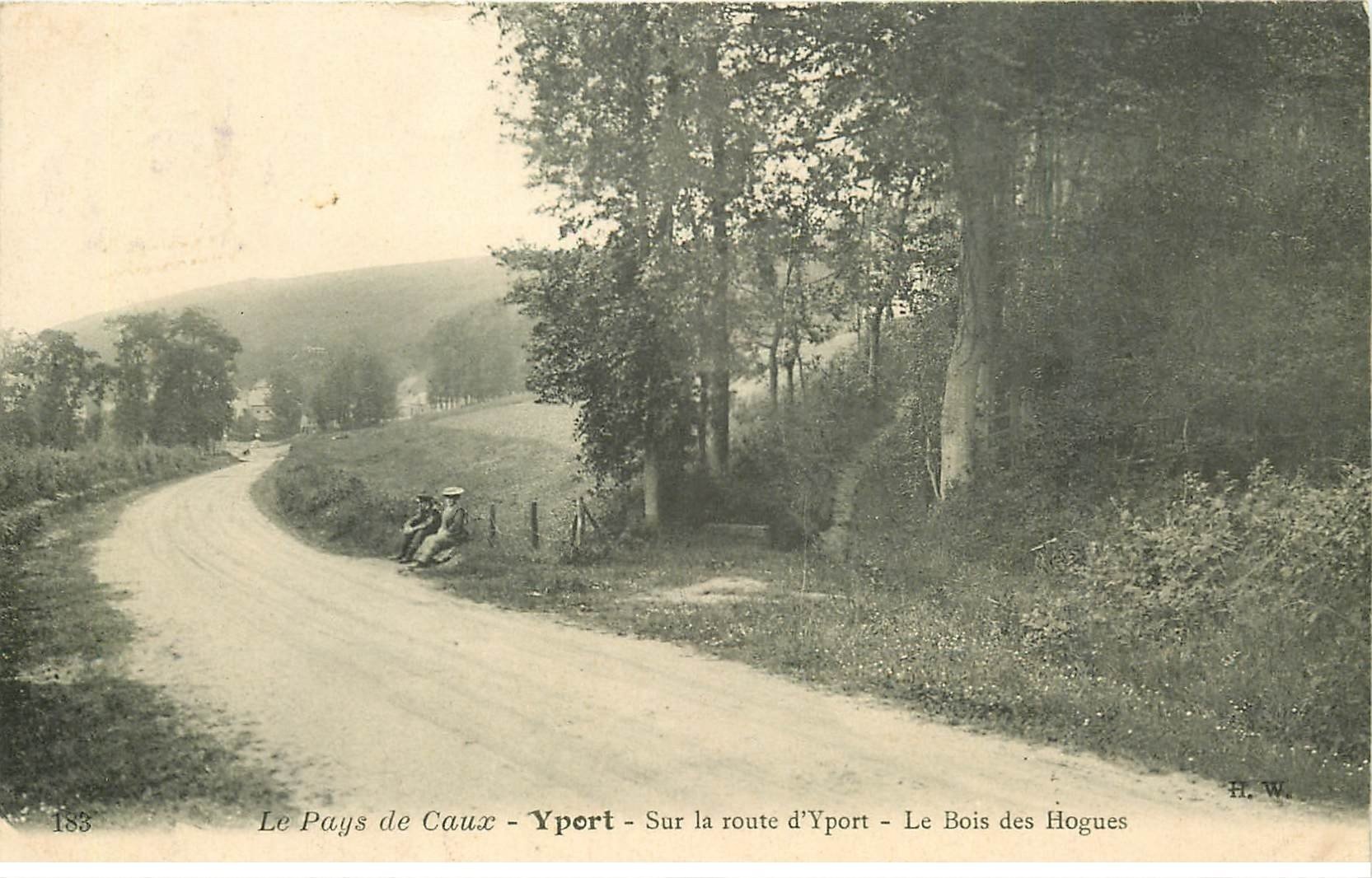 carte postale ancienne 76 YPORT. Route Bois des Hogues 1905 animation