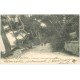 carte postale ancienne 06 L'Avenue des Pins au Cap Martin 1904