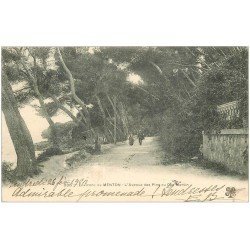 carte postale ancienne 06 L'Avenue des Pins au Cap Martin 1904