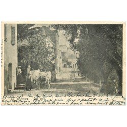 carte postale ancienne 06 LE CANNET. Une Rue bien animée, Femmes et âne 1903