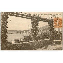 carte postale ancienne 06 MENTON. Vue entre les Fleurs 1928