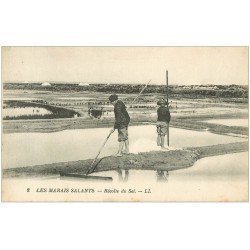 carte postale ancienne 44 AU MARAIS SALANTS. Récolte du Sel