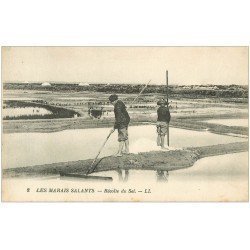 carte postale ancienne 44 AU MARAIS SALANTS. Récolte du Sel