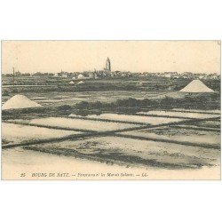 carte postale ancienne 44 BOURG DE BATZ. Marais Salants. Mulons