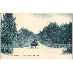 carte postale ancienne 44 LA BAULE. Bois d'Amour 1922