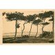 carte postale ancienne 44 LA BAULE. Les Pins 1932