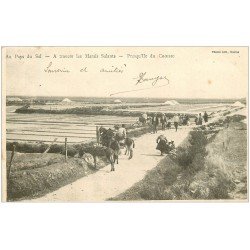 carte postale ancienne 44 LE CROISIC. Marais Salant 1902. Presqu'Île avec mules et ânes. Les Mulons