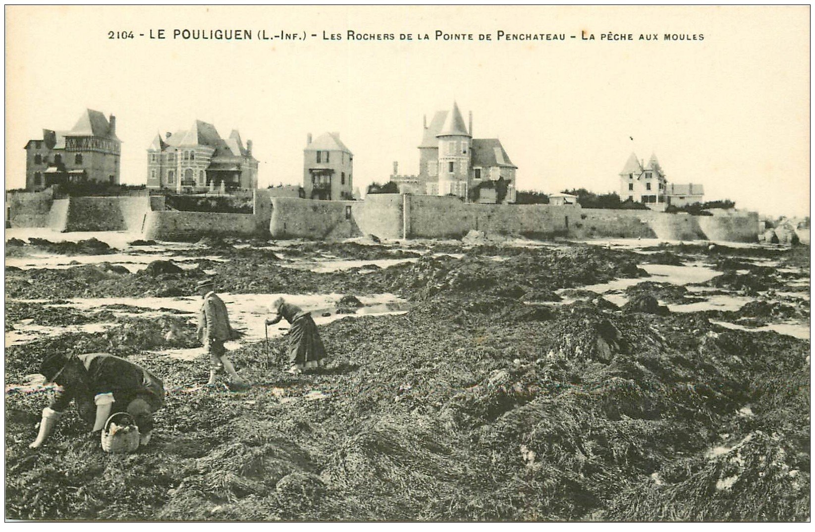 44 LE POULIGUEN. La Pêche aux Moules dans les Rochers