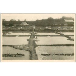 carte postale ancienne 44 LE POULIGUEN. Marais Salants. Mulons et Sel. Carte Photo 207