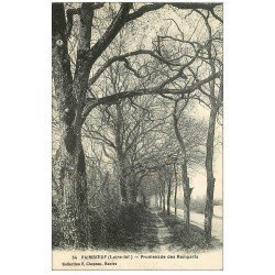 carte postale ancienne 44 PAIMBOEUF. Promenade des Remparts 1917