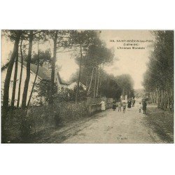 carte postale ancienne 44 SAINT-BREVIN-LES-PINS. Avenue Mondain