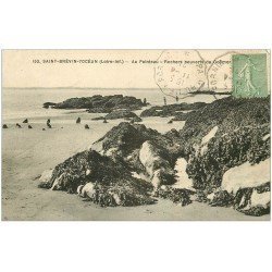 carte postale ancienne 44 SAINT-BREVIN-L'OCEAN. Au Pointeau 1921
